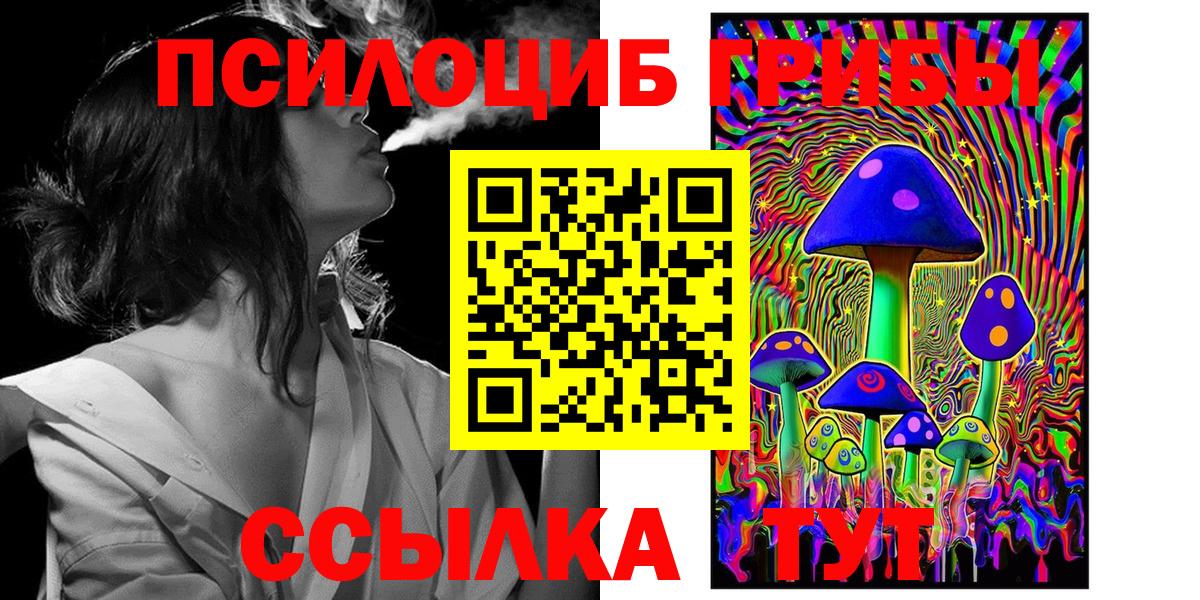Псилоцибиновые грибы Psilocybine cubensis Алатырь