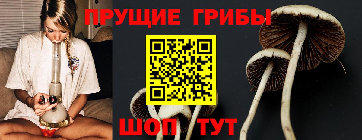 Псилоцибиновые грибы мухоморы  Вход с VPN  Алатырь 