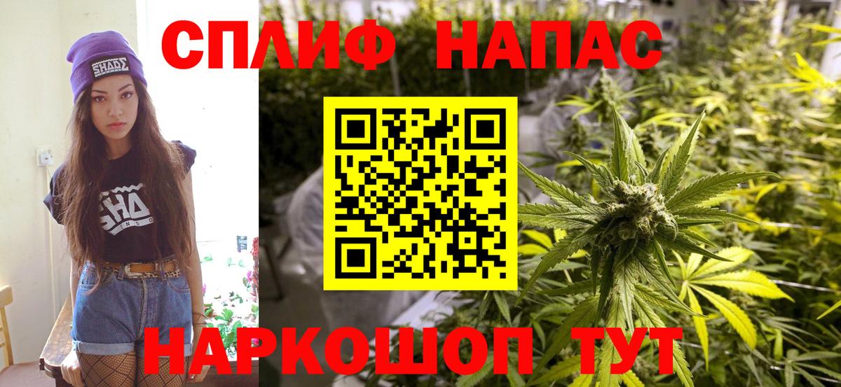 Конопля планчик Алатырь